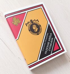 Antonina Domańska Paziowie króla Zygmunta Złoty liść Nasza Księgarnia