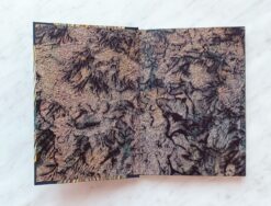 Marek Oramus Senni zwycięzcy