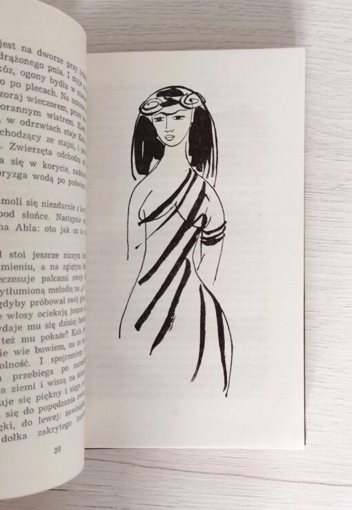 Kain i Abel Gutersloh ilustracje Stefanowski - obrazek 4