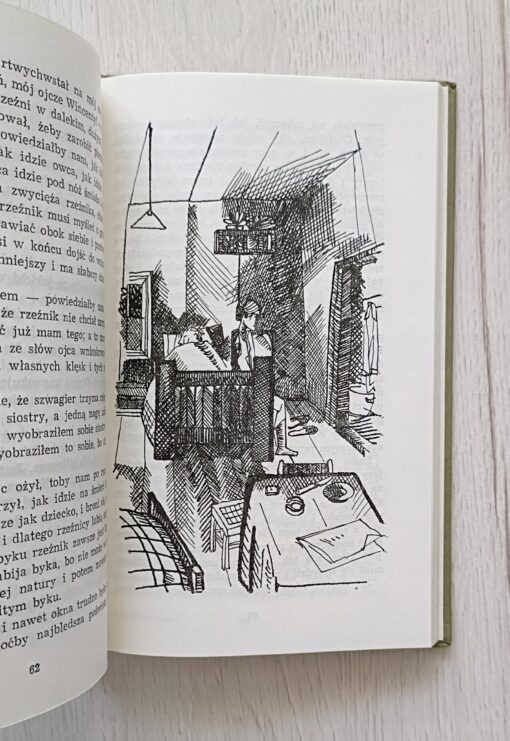 Szukam domu Kawalec ilustracje Radziwiłł-Milewska - obrazek 4