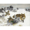 Bruno Liljefors Fox and grouse in a winter landscape Lis i głuszce — produkt cyfrowy do pobrania