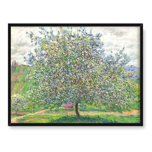 Claude Monet Jabłoń 40x30 w RAMIE