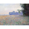 Claude Monet Pole owsa i maku — produkt cyfrowy do pobrania