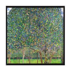 Gustav Klimt Grusza 50×50