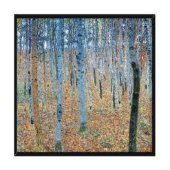 Gustav Klimt Las brzozowy 50×50