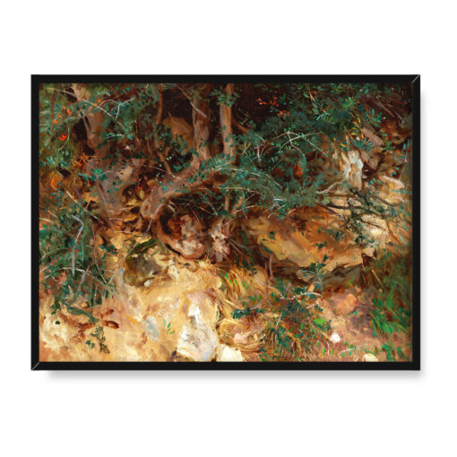 John Singer Sargent Korzenie dzikich drzew oliwnych Majorka 40x30 w RAMIE