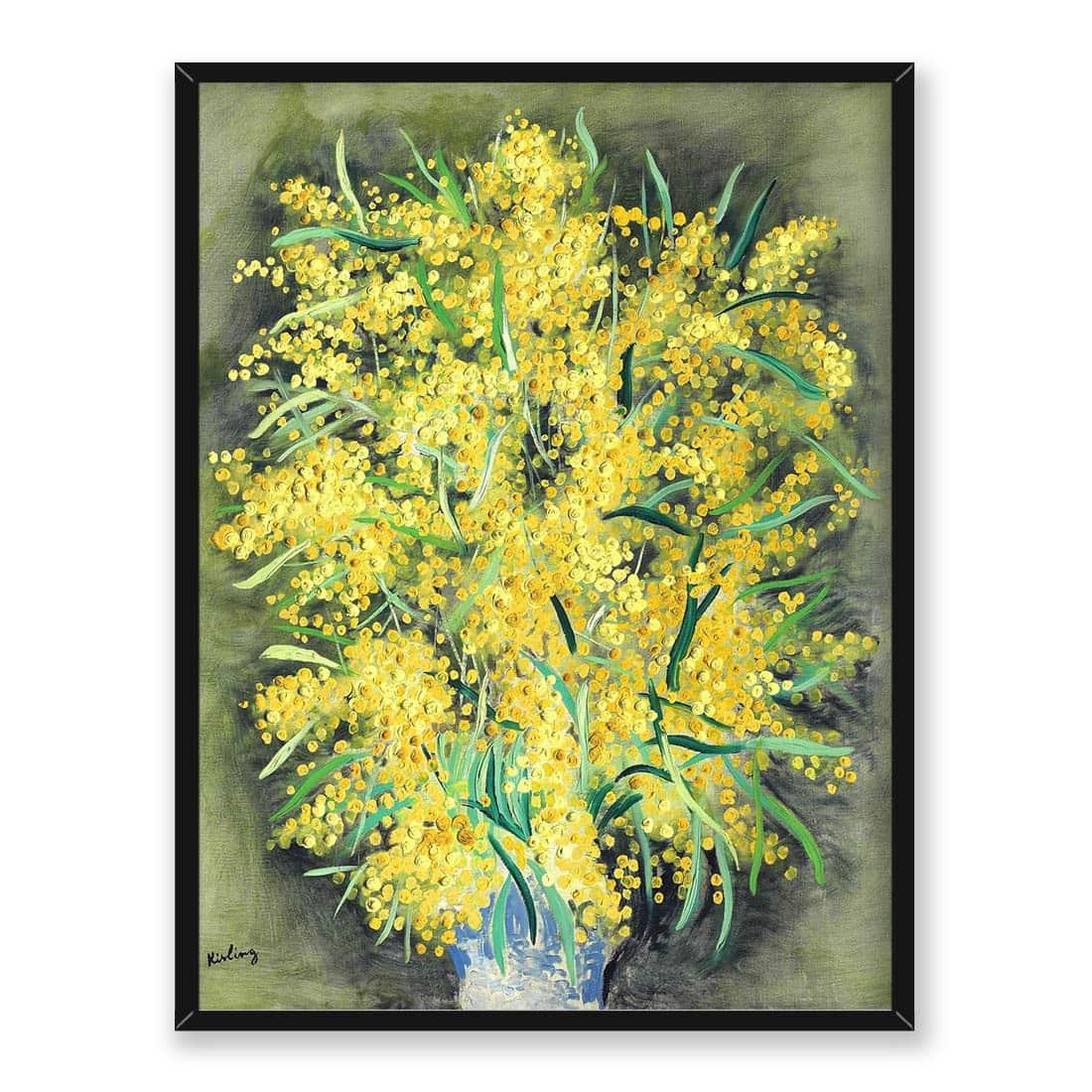 Mojżesz Kisling Mimozy 2 30x40