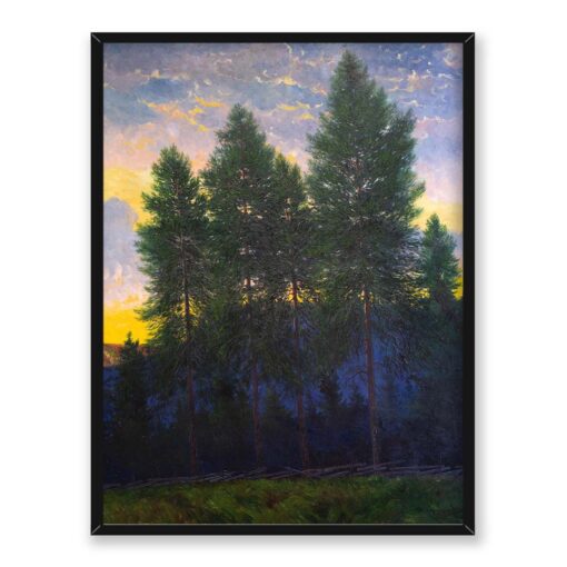 Oscar Lycke Sosny o zachodzie słońca 30x40