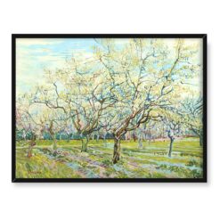 Vincent van Gogh Biały sad 40x30