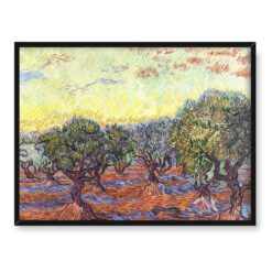 Vincent van Gogh Gaj oliwny Saint-Remy 40x30