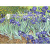 Vincent van Gogh Irysy 2 — produkt cyfrowy do pobrania