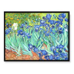 Vincent van Gogh Irysy 2 40×30