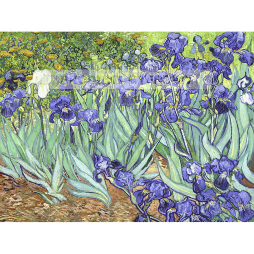 Vincent van Gogh Irysy 2 — produkt cyfrowy do pobrania
