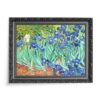 Vincent van Gogh Irysy 70×50 wydruk na płótnie CANVAS