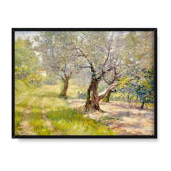 William Merritt Chase Gaj Oliwny 40x30