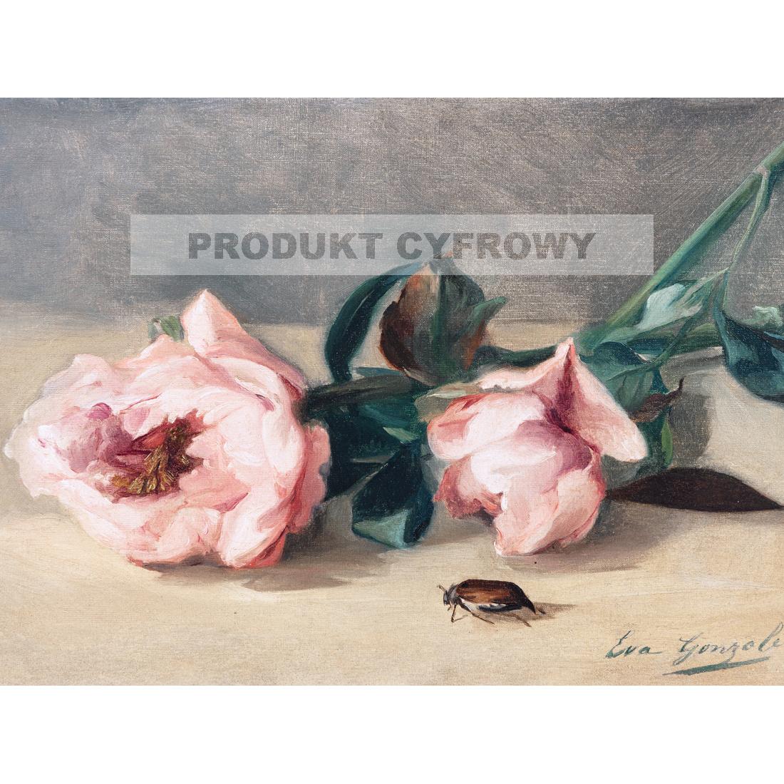 Eva Gonzales Piwonie i chrabąszcz — produkt cyfrowy do pobrania