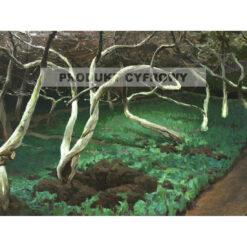 Ferdynand Ruszczyc Stare jabłonie — produkt cyfrowy do pobrania