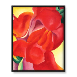 Georgia OKeeffe Red Canna 40×50