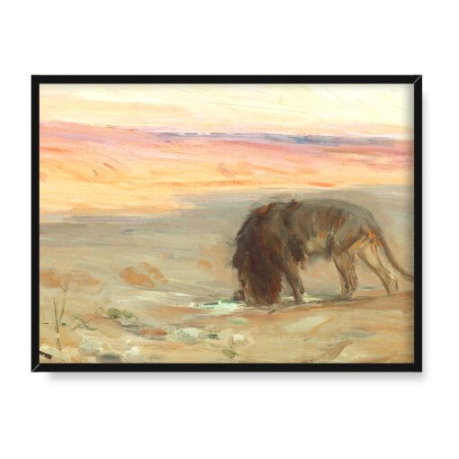 Henry Ossawa Tanner Pijący lew 40x30 w RAMIE