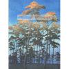Kawase Hasui Park Hikawa w Ōmiya — produkt cyfrowy do pobrania