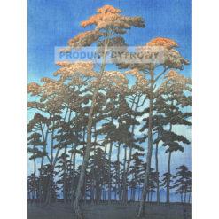 Kawase Hasui Park Hikawa w Ōmiya — produkt cyfrowy do pobrania