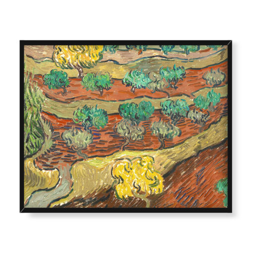 Vincent van Gogh Drzewa oliwne na zboczu góry 50x40