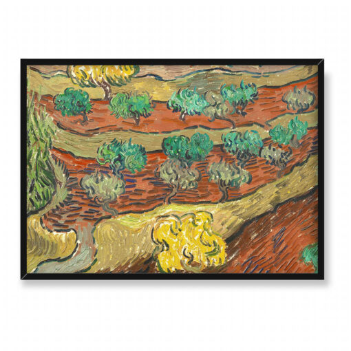 Vincent van Gogh Drzewa oliwne na zboczu góry 70x50