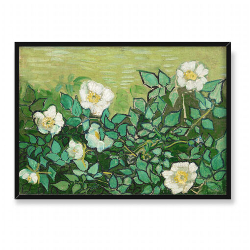 Vincent van Gogh Dzikie róże 70x50