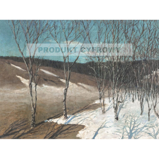 Witkacy Przedwiośnie — produkt cyfrowy do pobrania