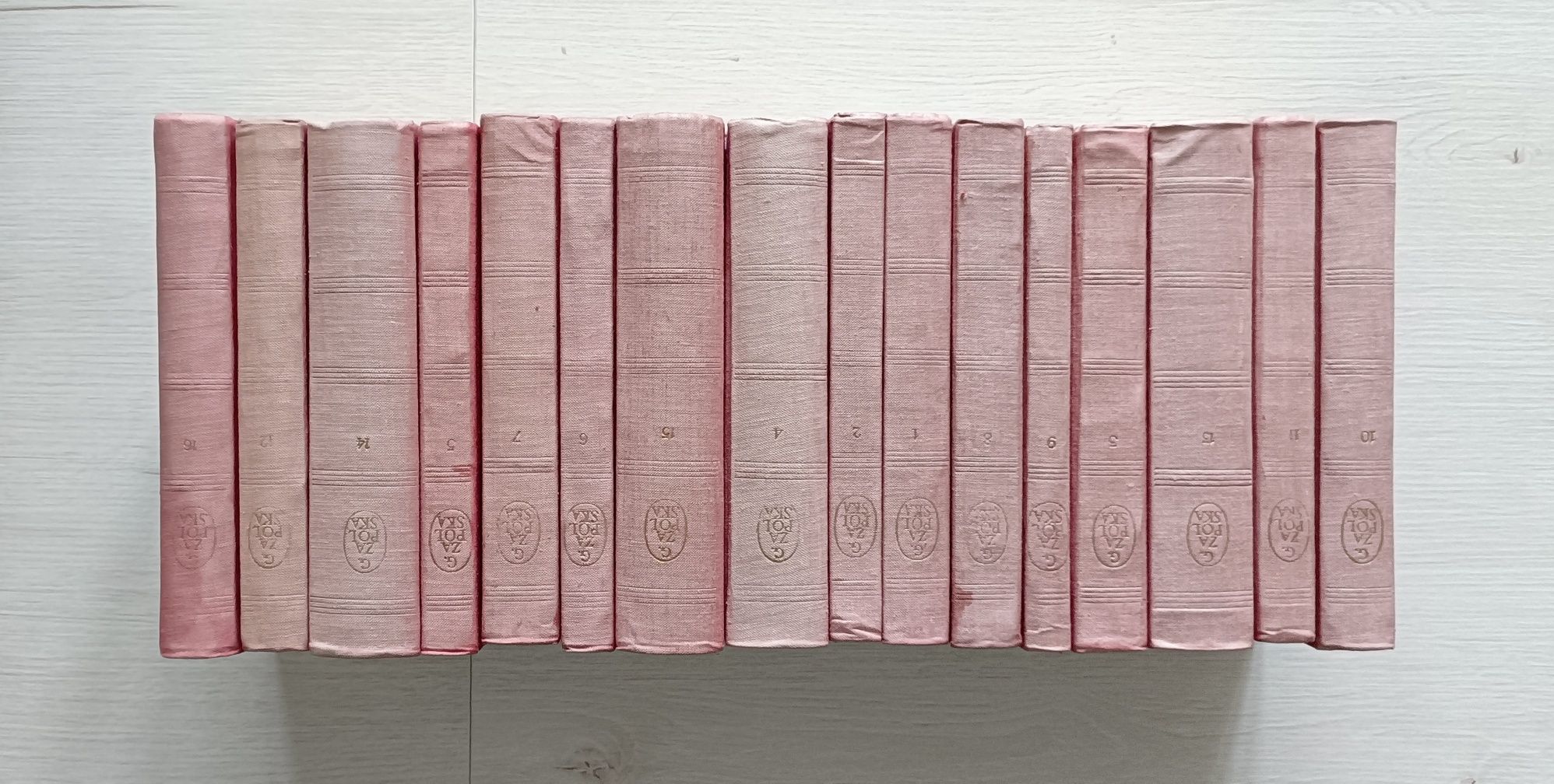 Dzieła wybrane Zapolska 16 tomów - obrazek 6