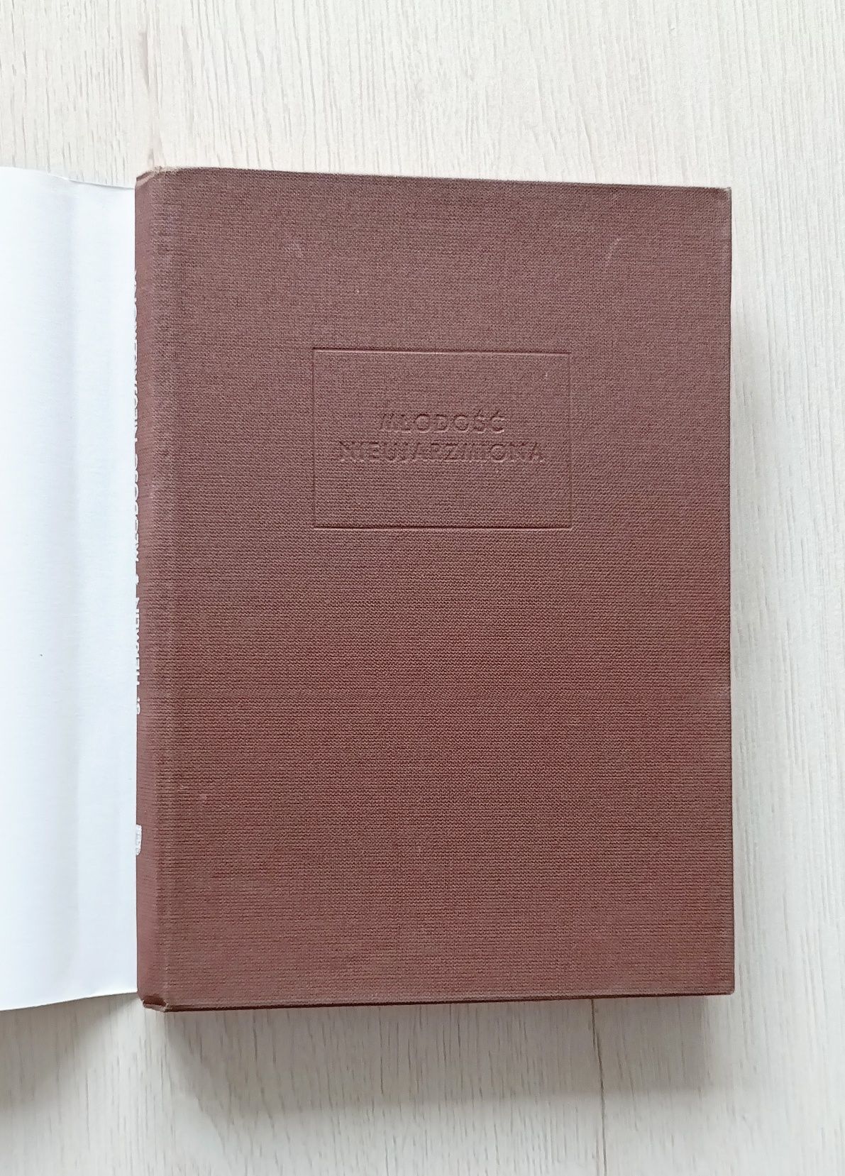 Młodość nieujarzmiona Hermlin 1955 Złota Biblioteka - obrazek 2