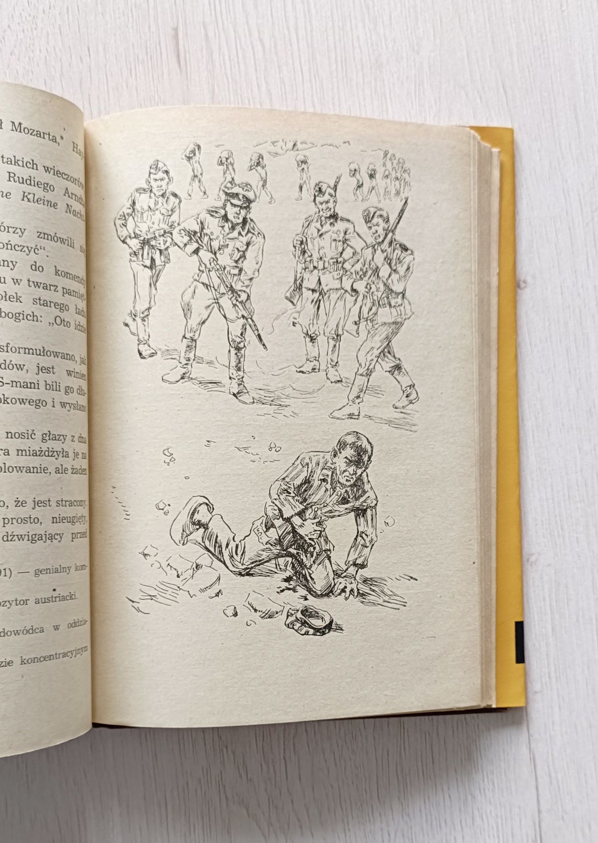 Młodość nieujarzmiona Hermlin 1955 Złota Biblioteka - obrazek 4