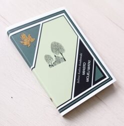 Miasto mojej matki Juliusz Kaden-Bandrowski