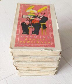 Alternative view of Ostatni rozdział Kobiety u studni August Powsinoga A życie Hamsun