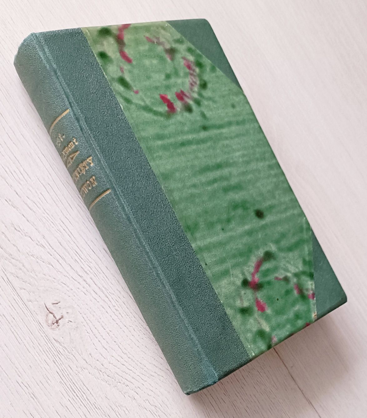 Pęknięty dzwon Władysław Reymont - obrazek 3