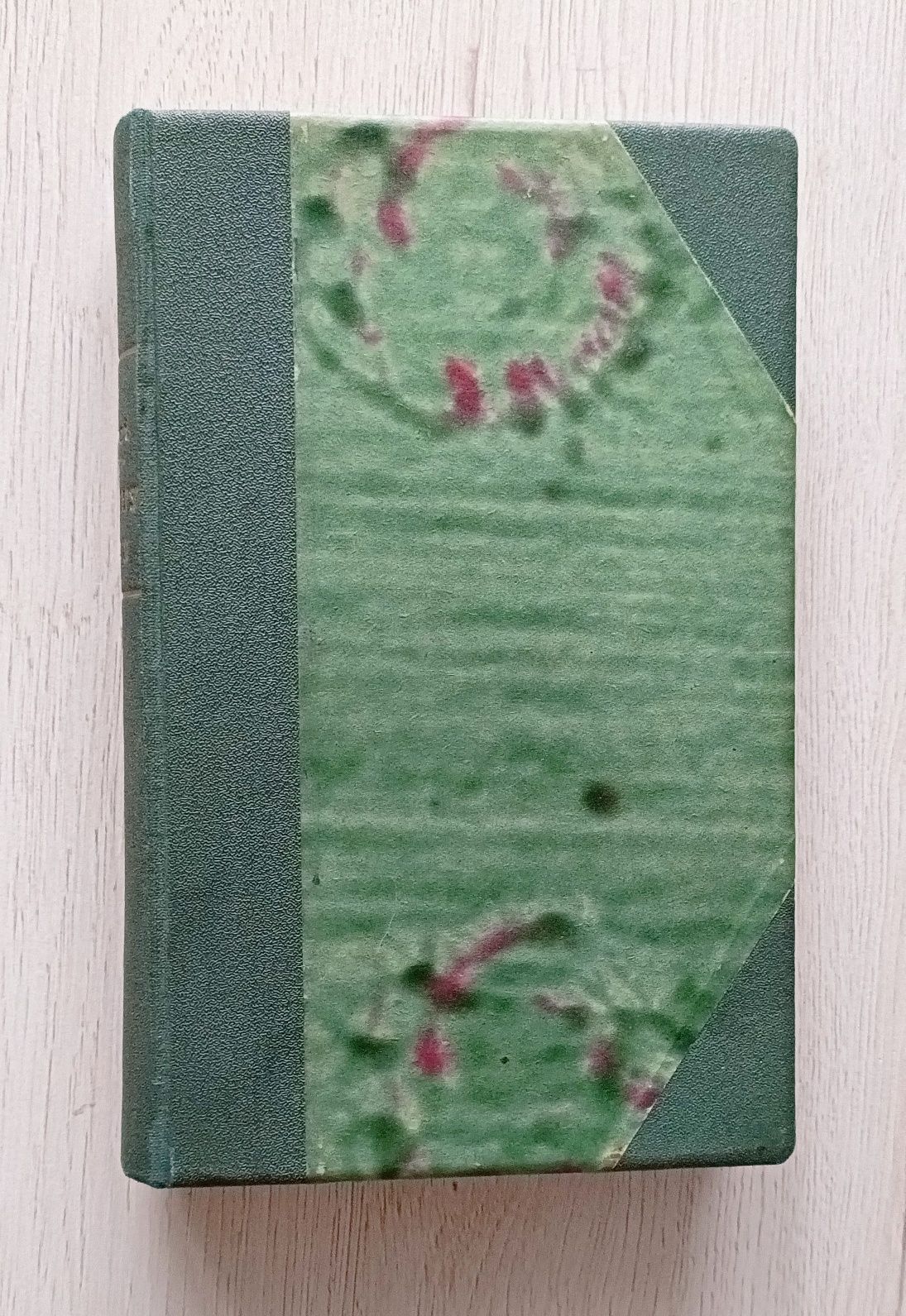 Pęknięty dzwon Władysław Reymont - obrazek 4