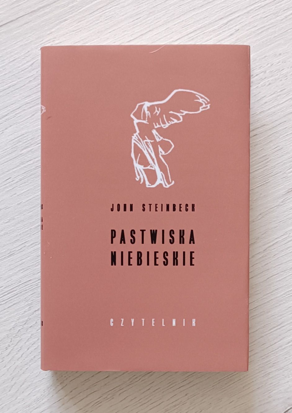 Pastwiska niebieskie John Steinbeck - obrazek 2