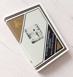 W cieniu zapomnianej olszyny Juliusz Kaden-Bandrowski ilustracje Mróz