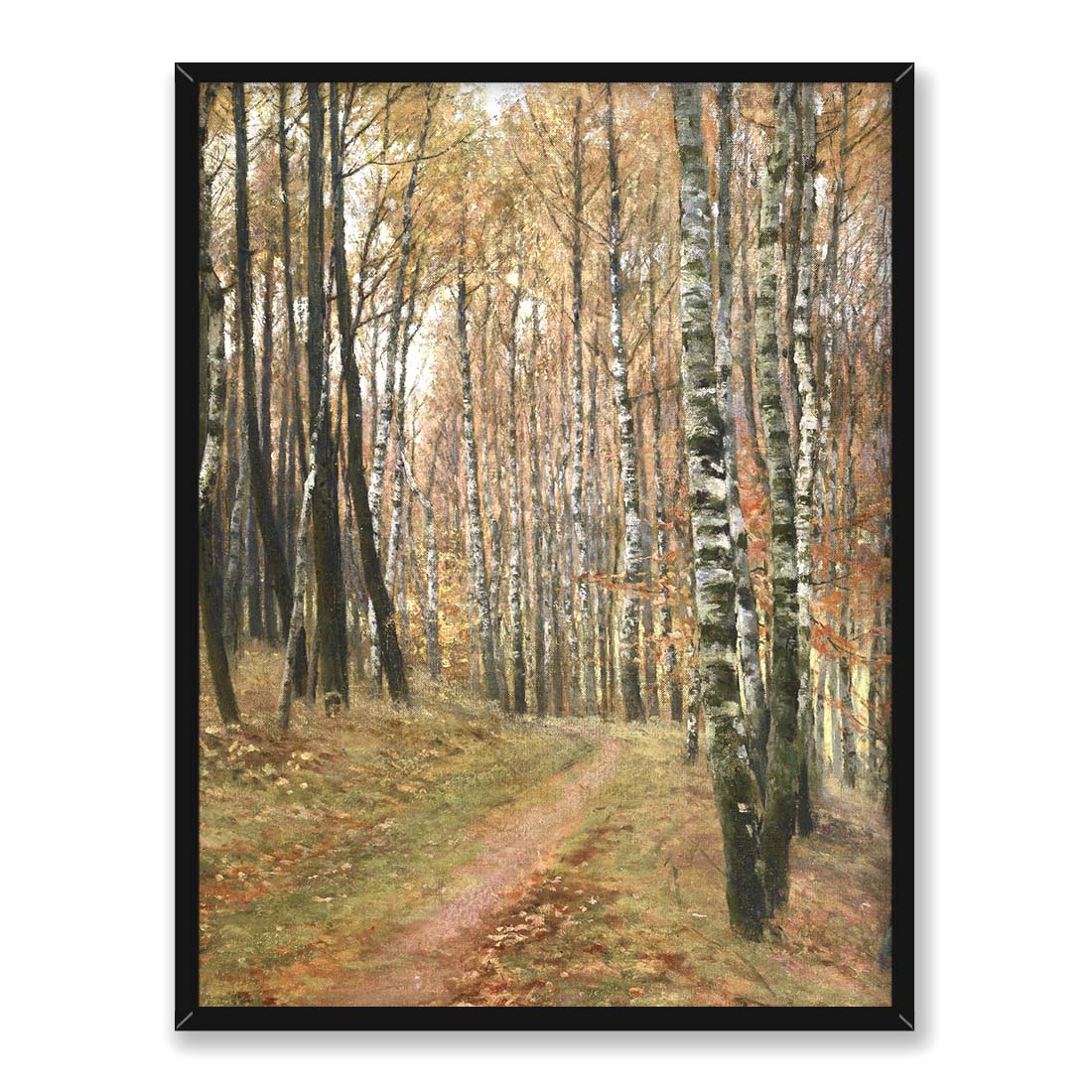 Antonin Slavicek Droga do Hvezdy 30x40 w RAMIE