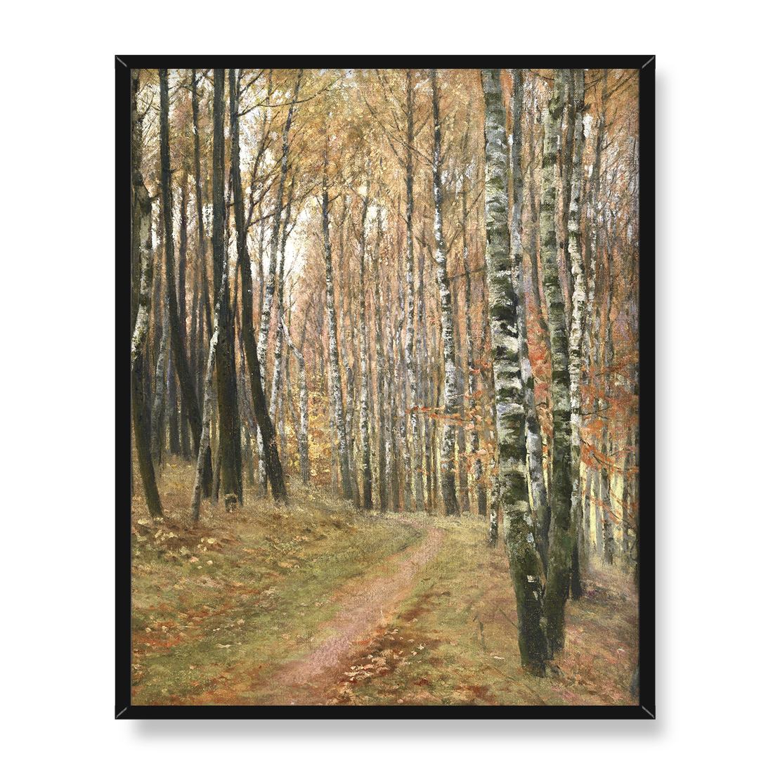 Antonin Slavicek Droga do Hvezdy 40x50 w RAMIE