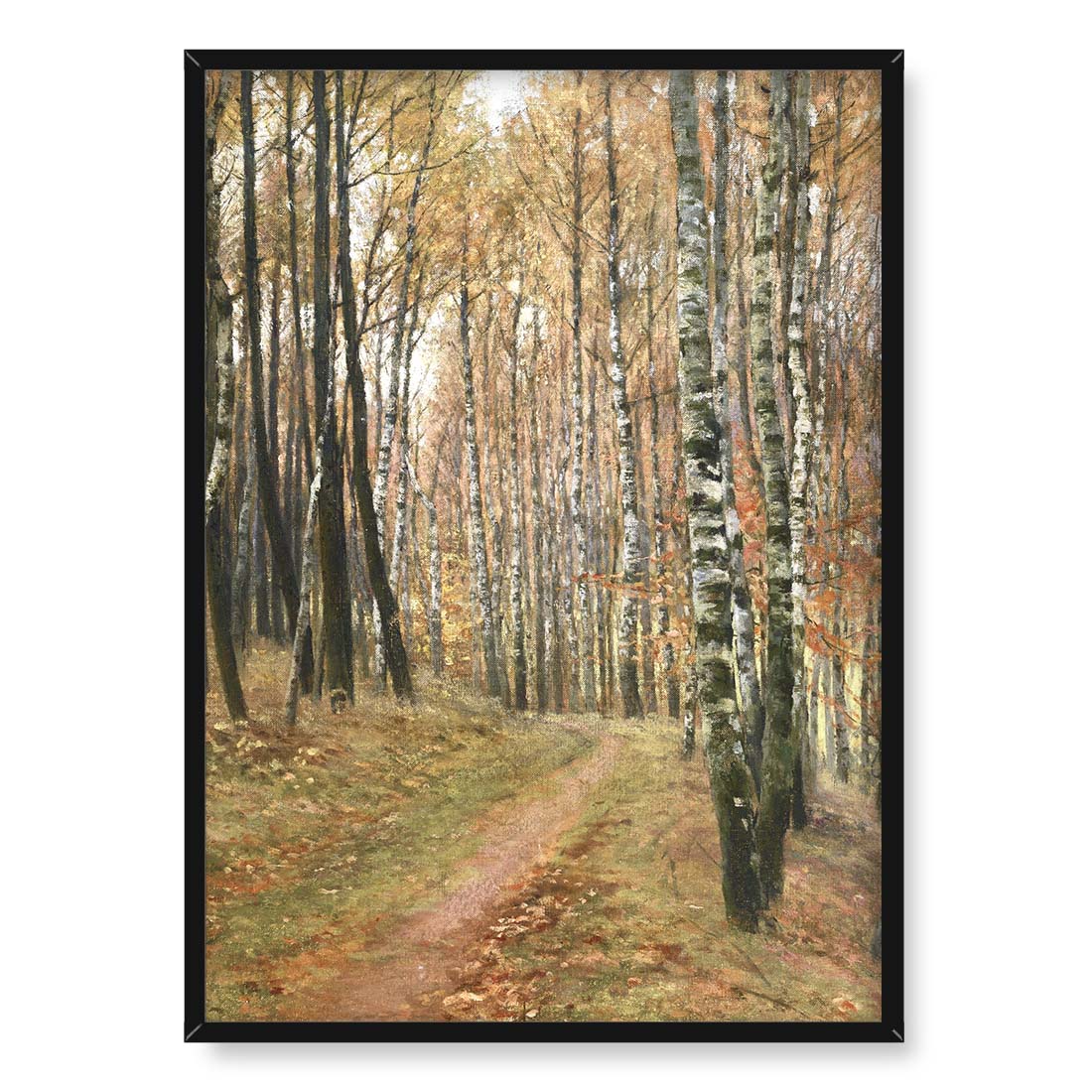 Antonin Slavicek Droga do Hvezdy 50x70