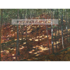 Antonin Slavicek Słońce w lesie — produkt cyfrowy do pobrania