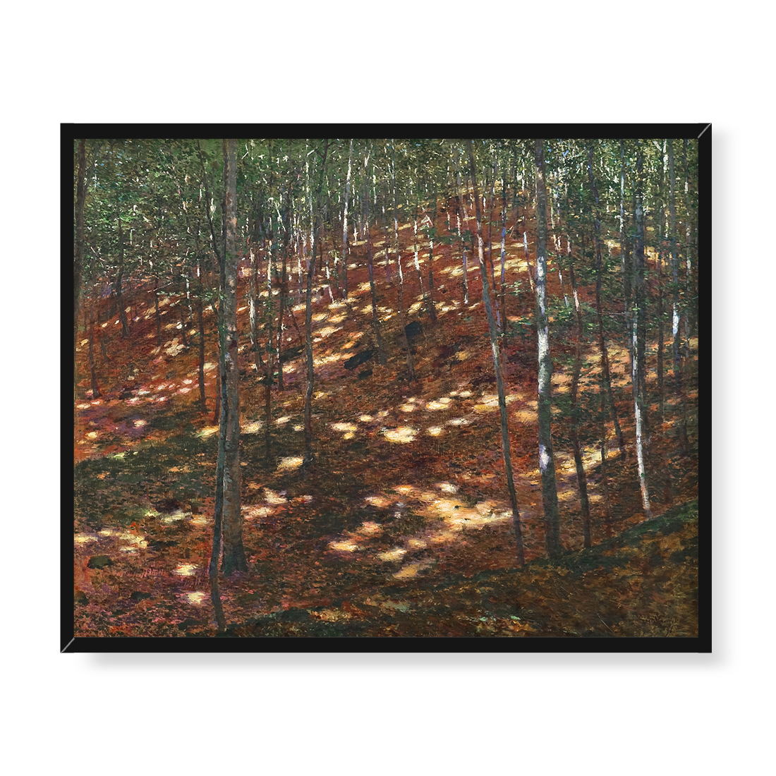 Antonin Slavicek Słońce w lesie 50x40