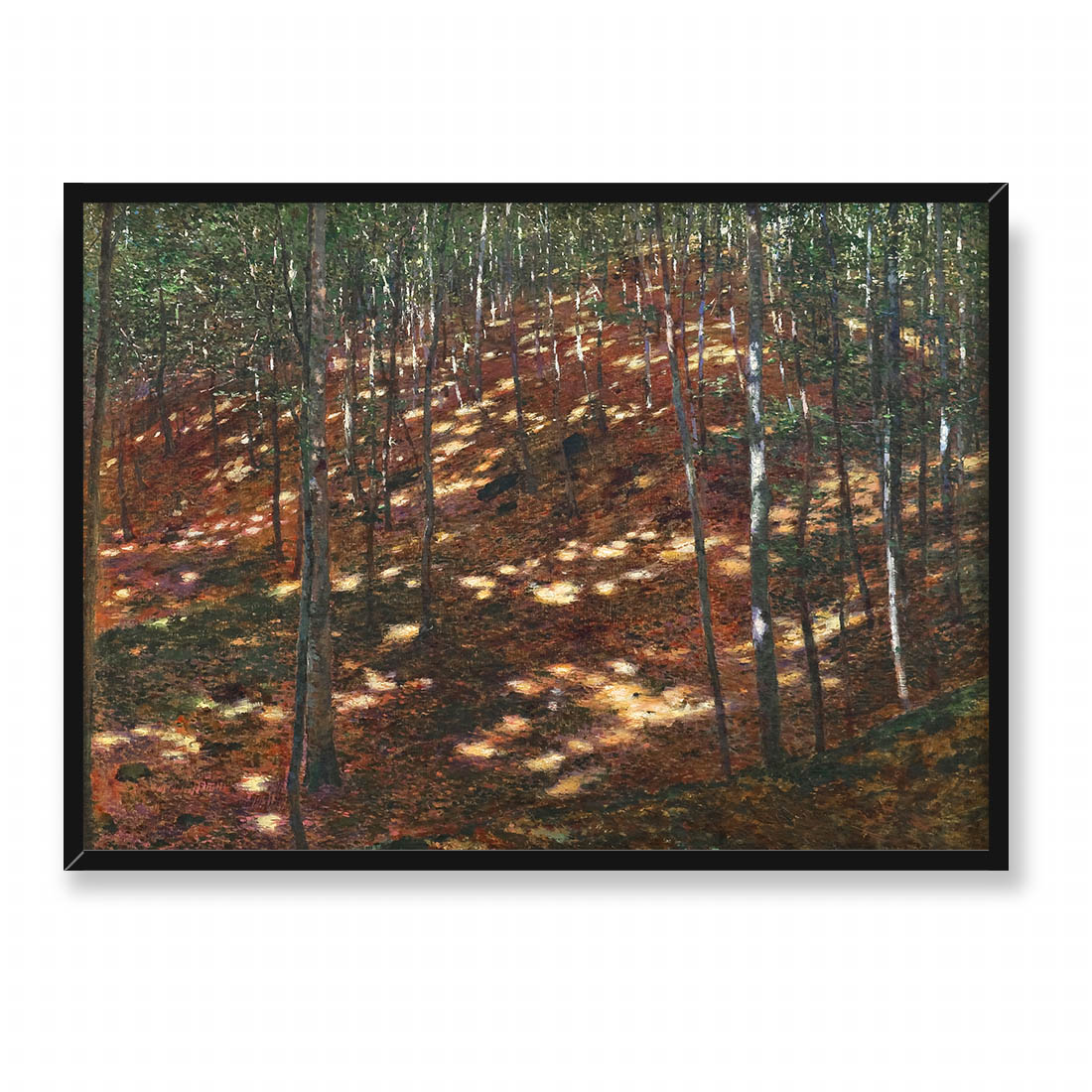 Antonin Slavicek Słońce w lesie 70x50