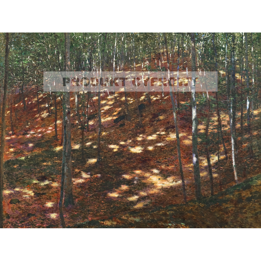 Antonin Slavicek Słońce w lesie — produkt cyfrowy do pobrania