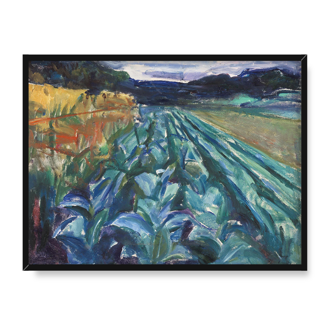 Edvard Munch Pole kapusty 40x30 w RAMIE