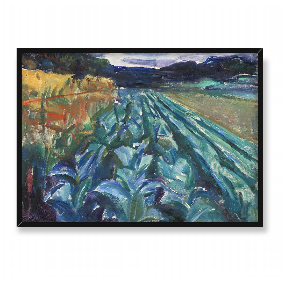 Edvard Munch Pole kapusty 70x50