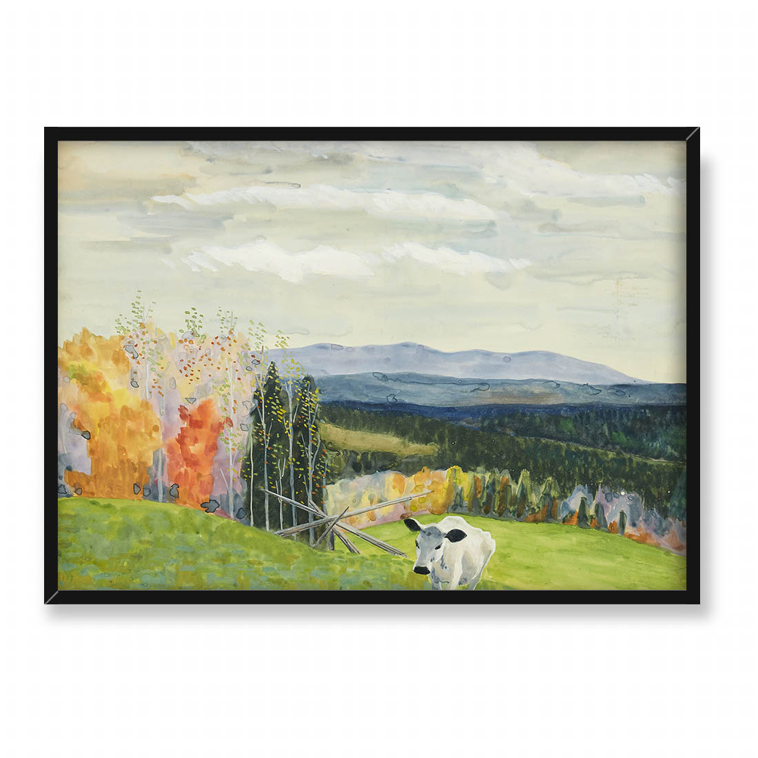 Ewald Dahlskog Krowa w letniej zieleni 70x50