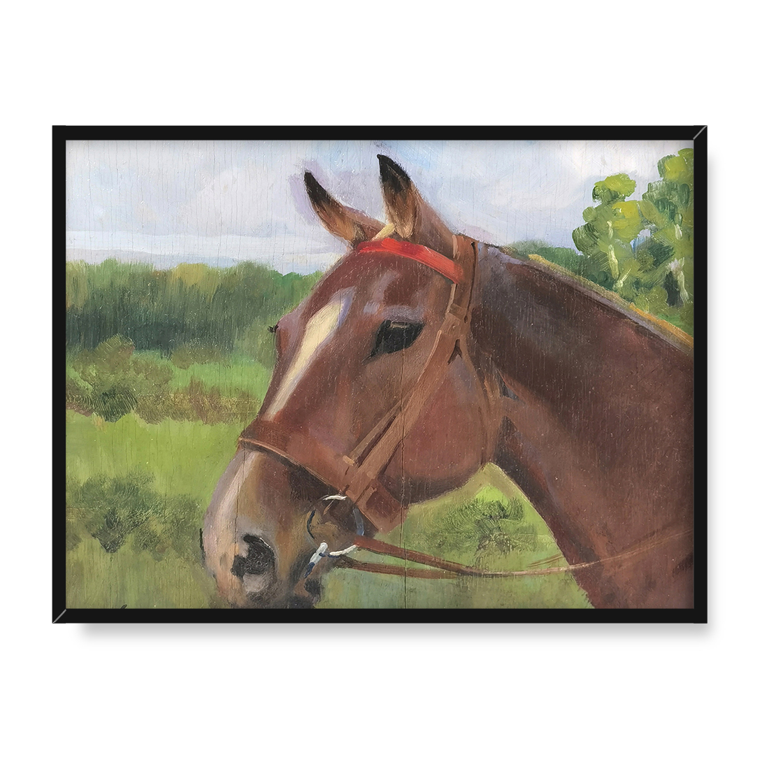 Jerzy Kossak Głowa konia 2 30x40 w RAMIE