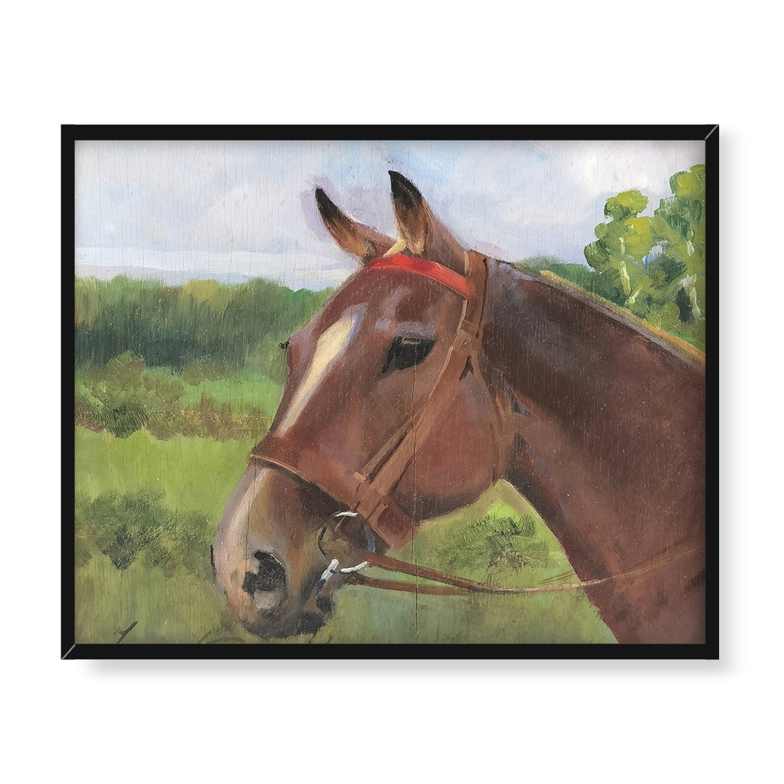 Jerzy Kossak Głowa konia 2 50x40 w RAMIE